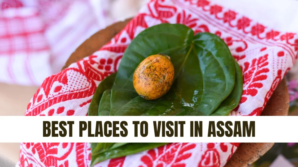 Best Places to Visit in Assam