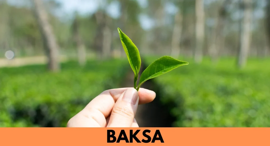 Best Places to visit in Baksa , Assam